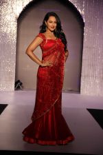 Sonakshi Sinha at Aamby Valley India Bridal Fashion Week 2012 in association with Azva  (5).jpg